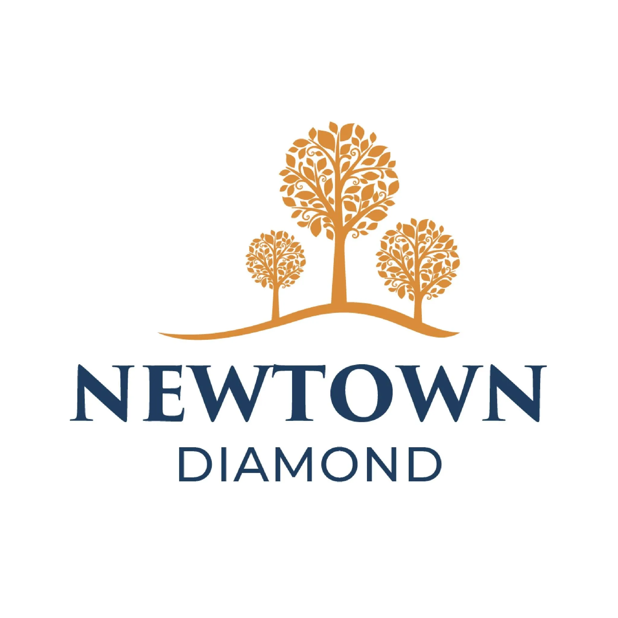 Newtown Diamond